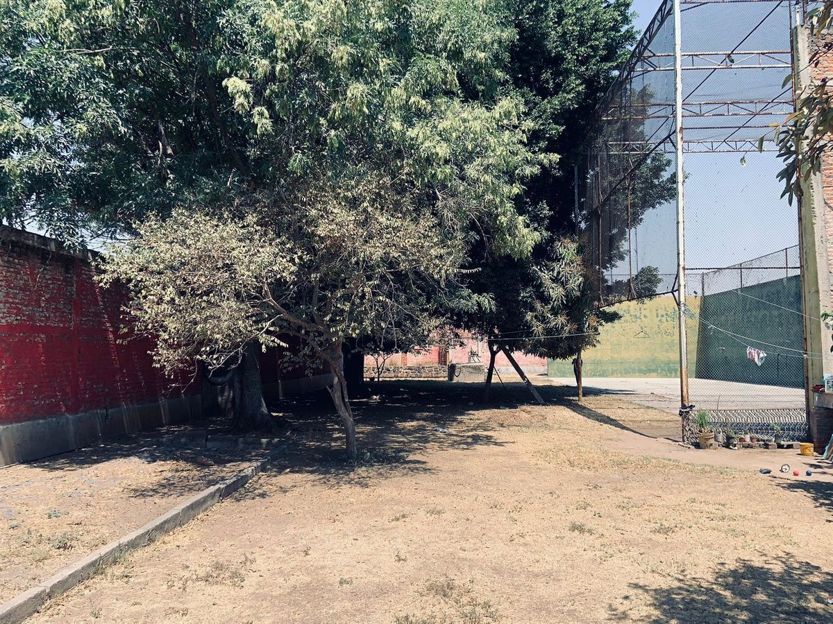 5 de 31