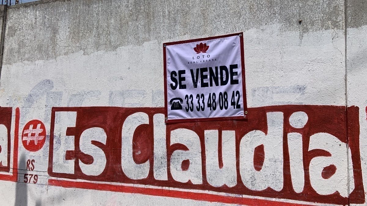 29 de 31