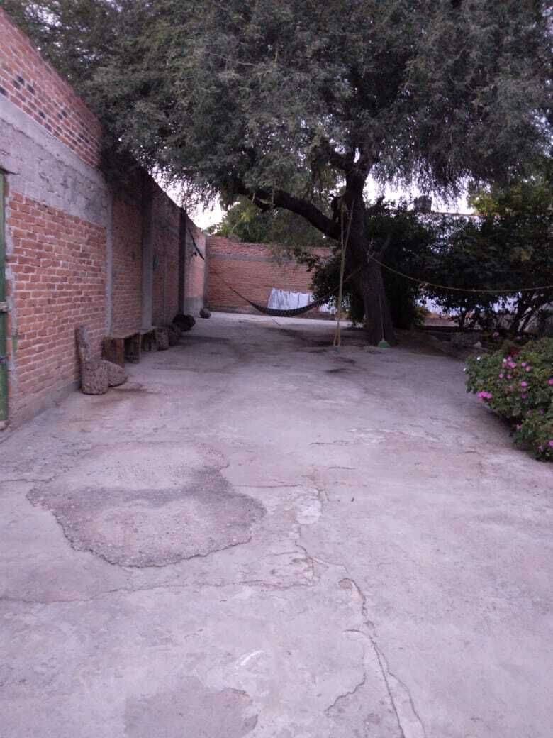 5 de 6