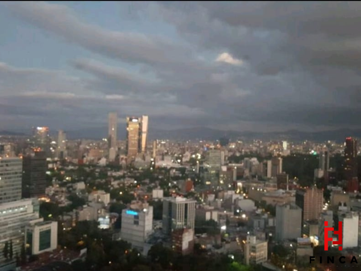 12 de 21