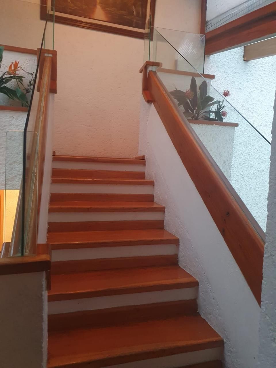 4 de 14