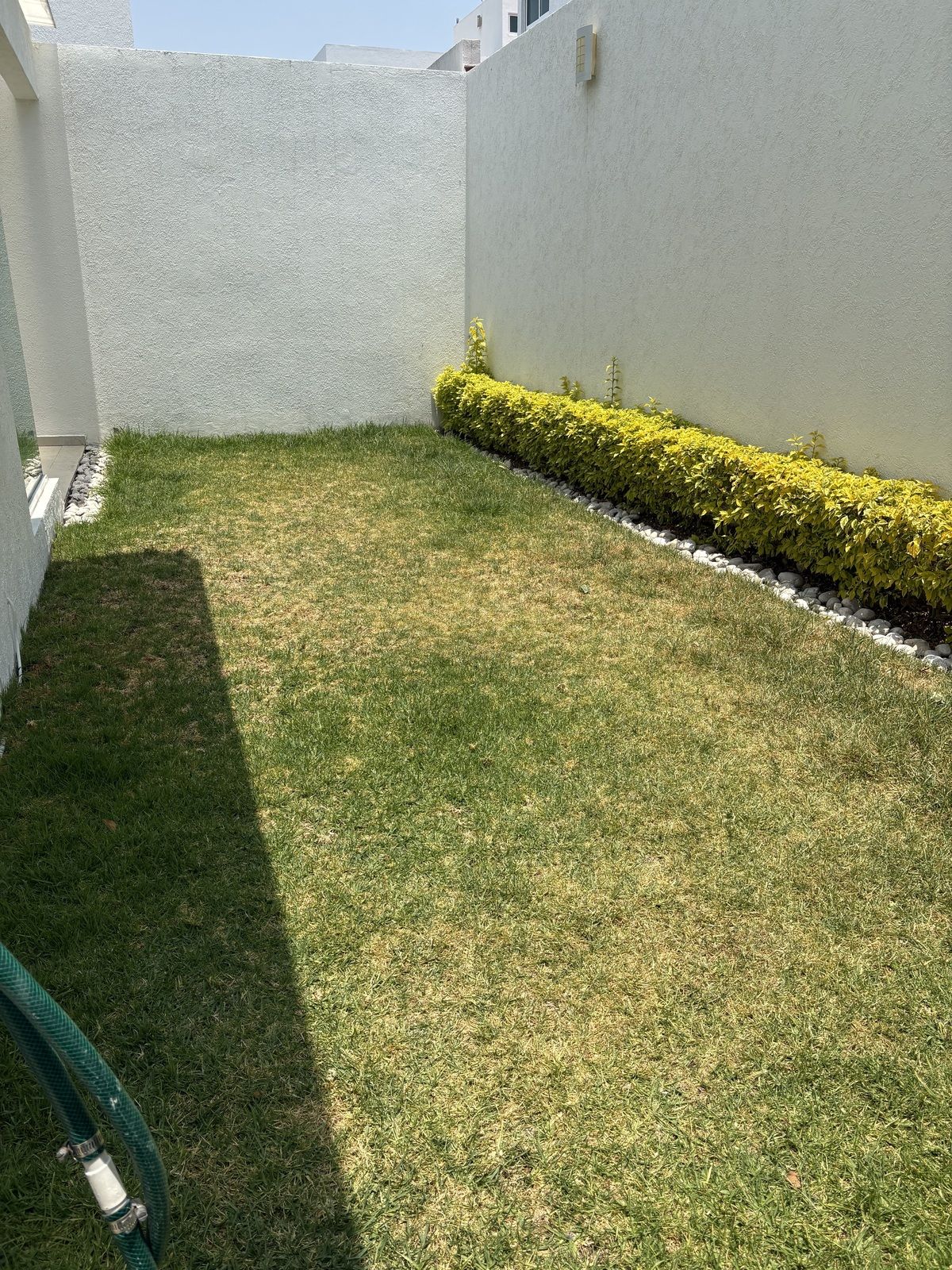 15 de 19: jardin