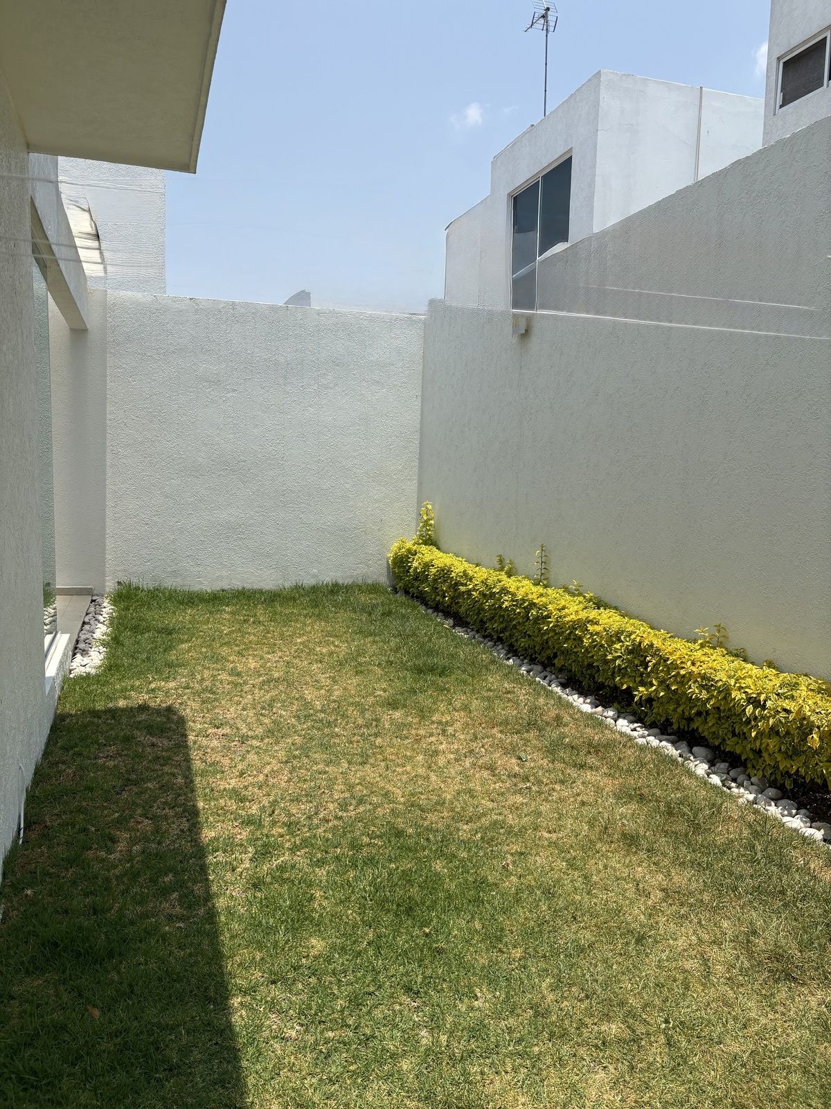19 de 19: jardín