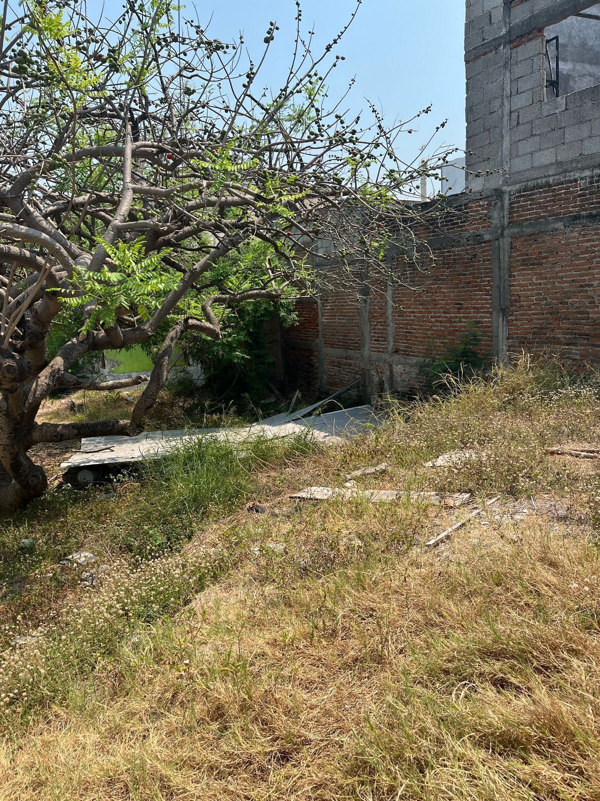 2 de 3