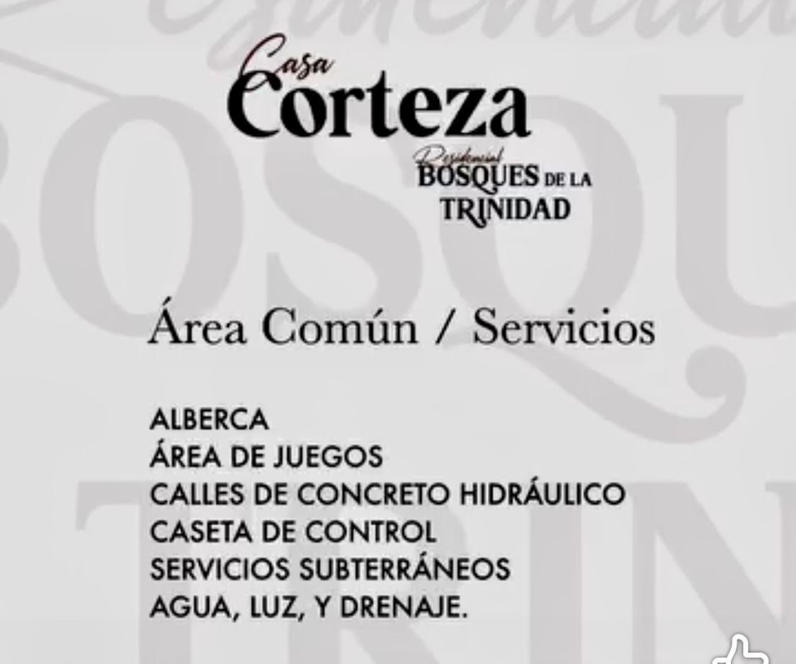 12 de 18