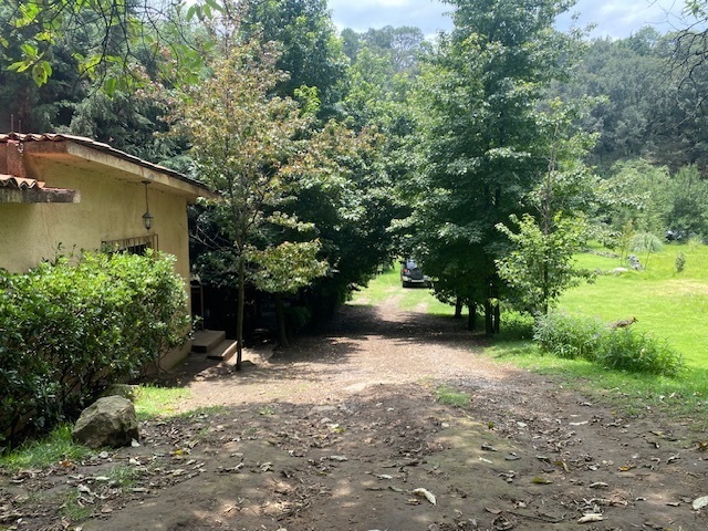 1 de 20