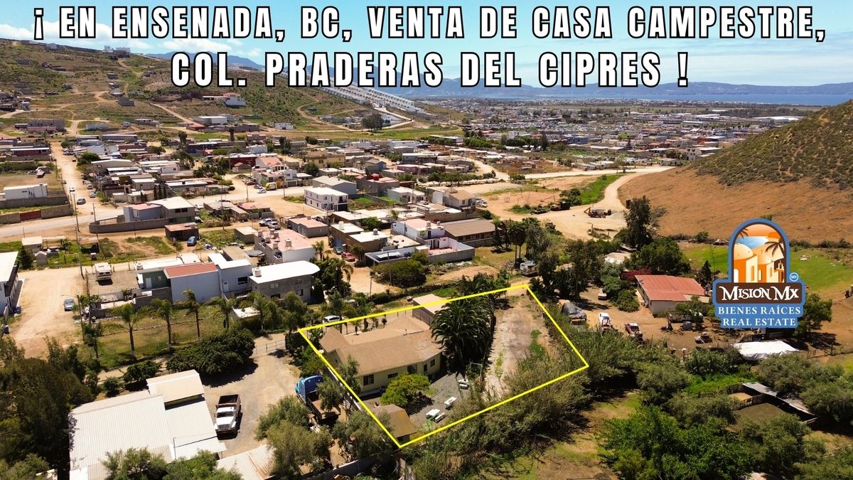 6 de 41