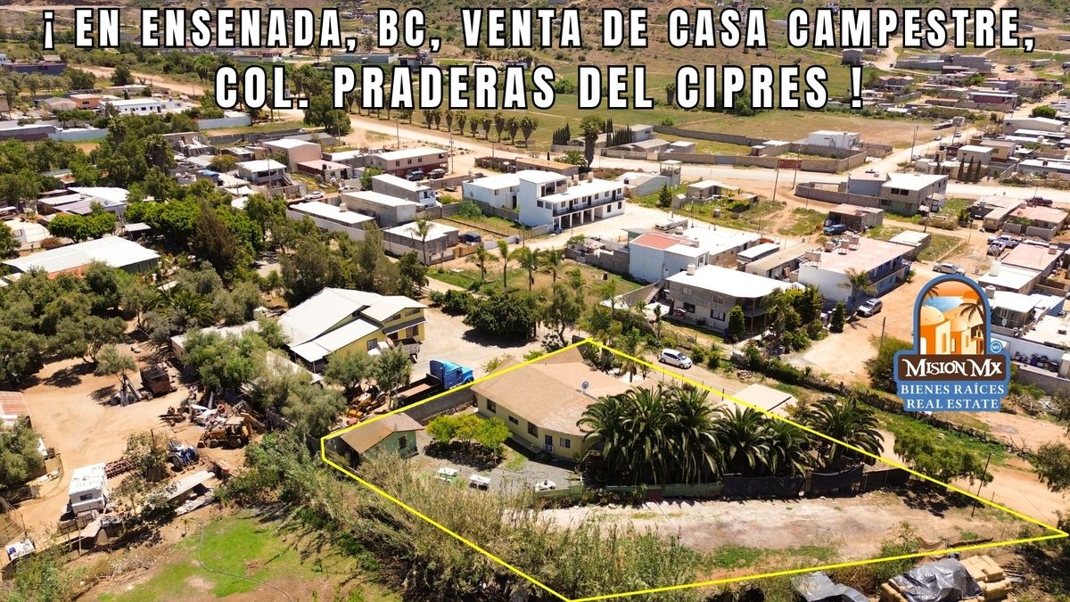 7 de 41