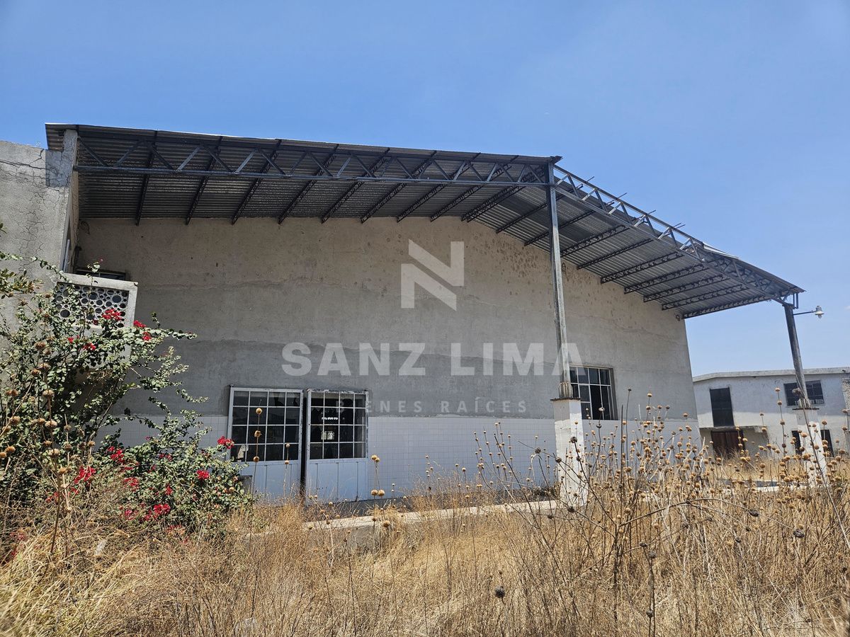 4 de 24
