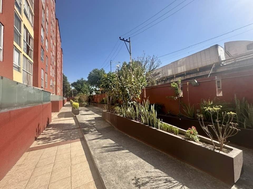 12 de 32