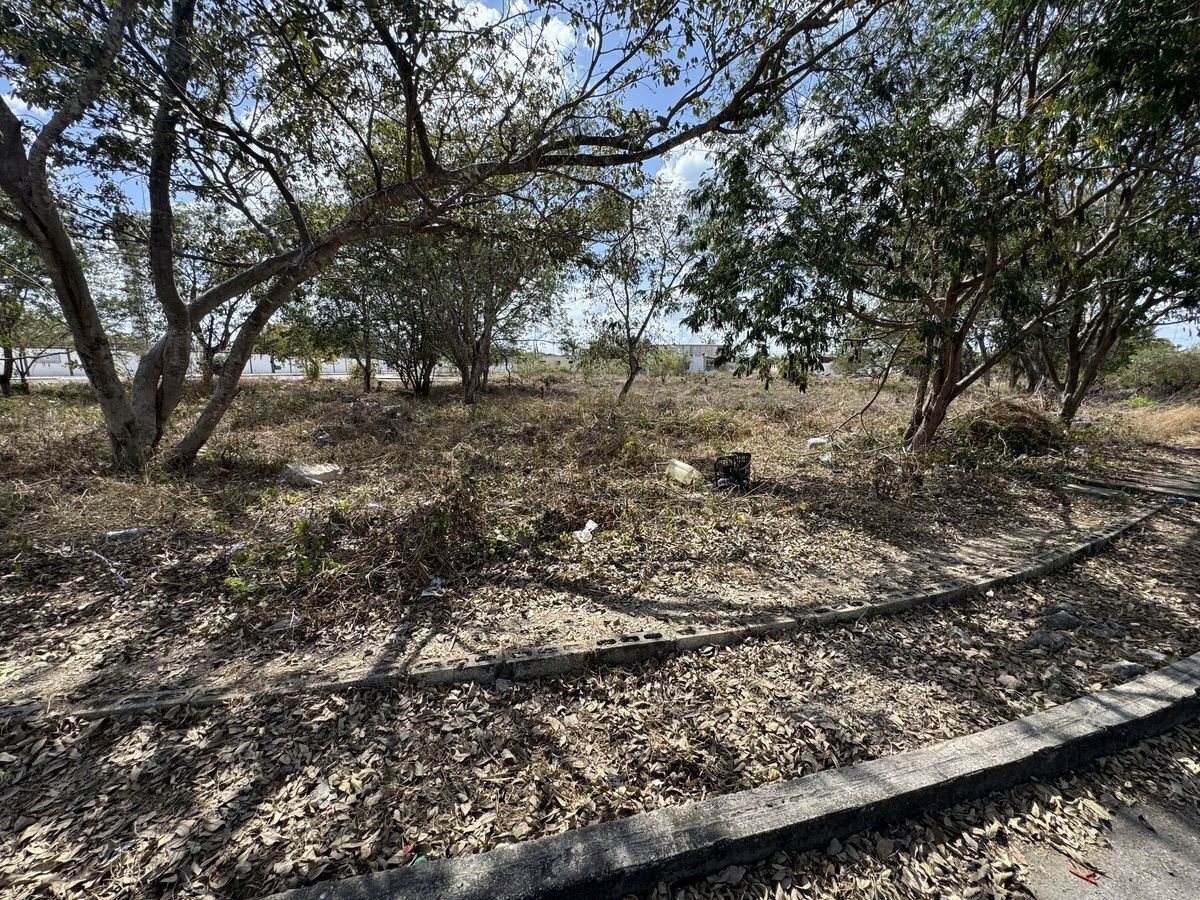 Terreno en Ciudad Caucel, Mérida, foto 9 de 9