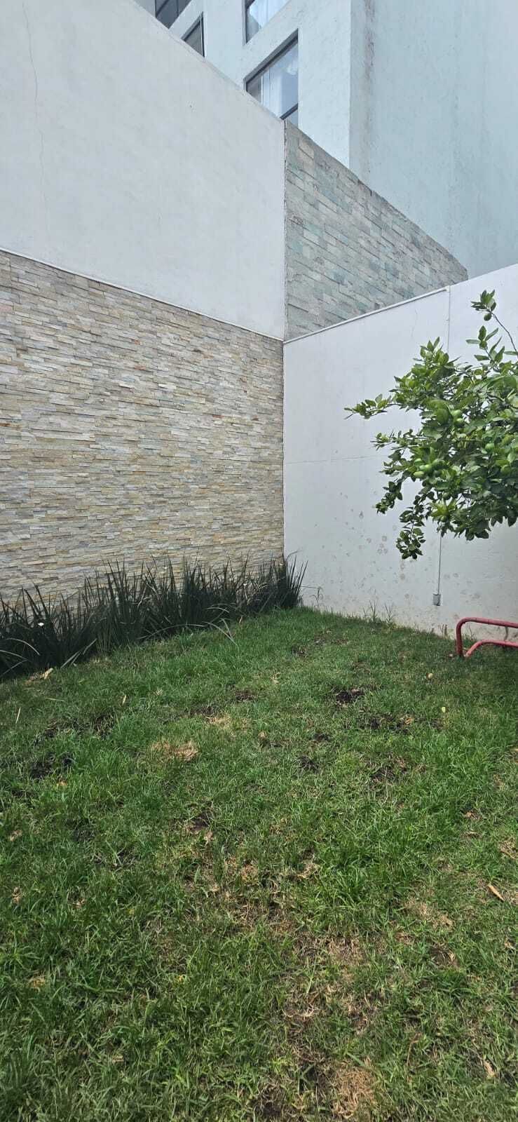 5 de 24