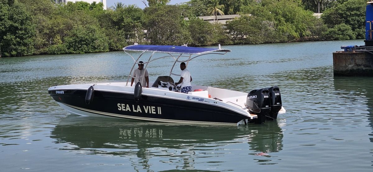 3 de 8