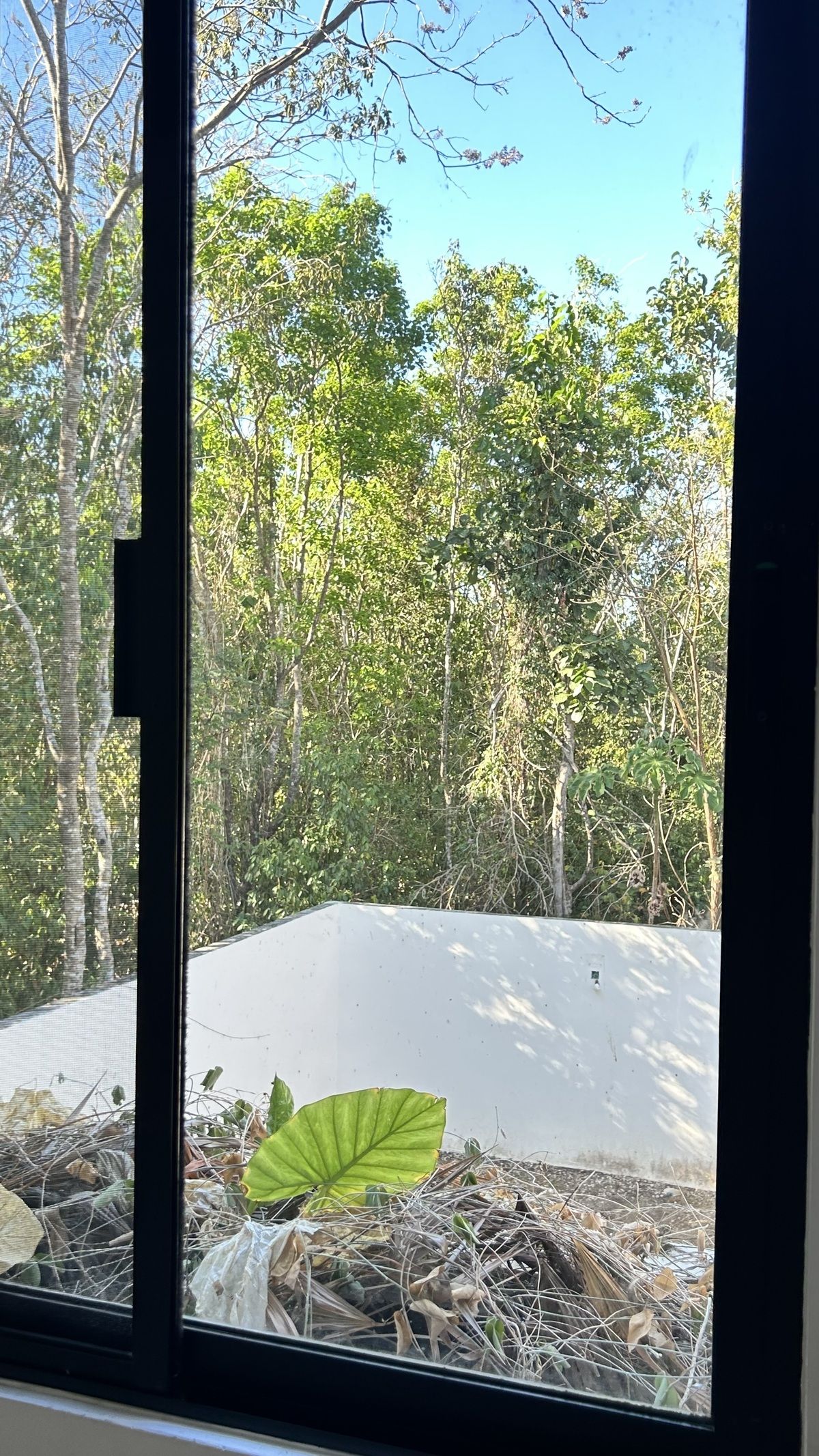 18 de 23