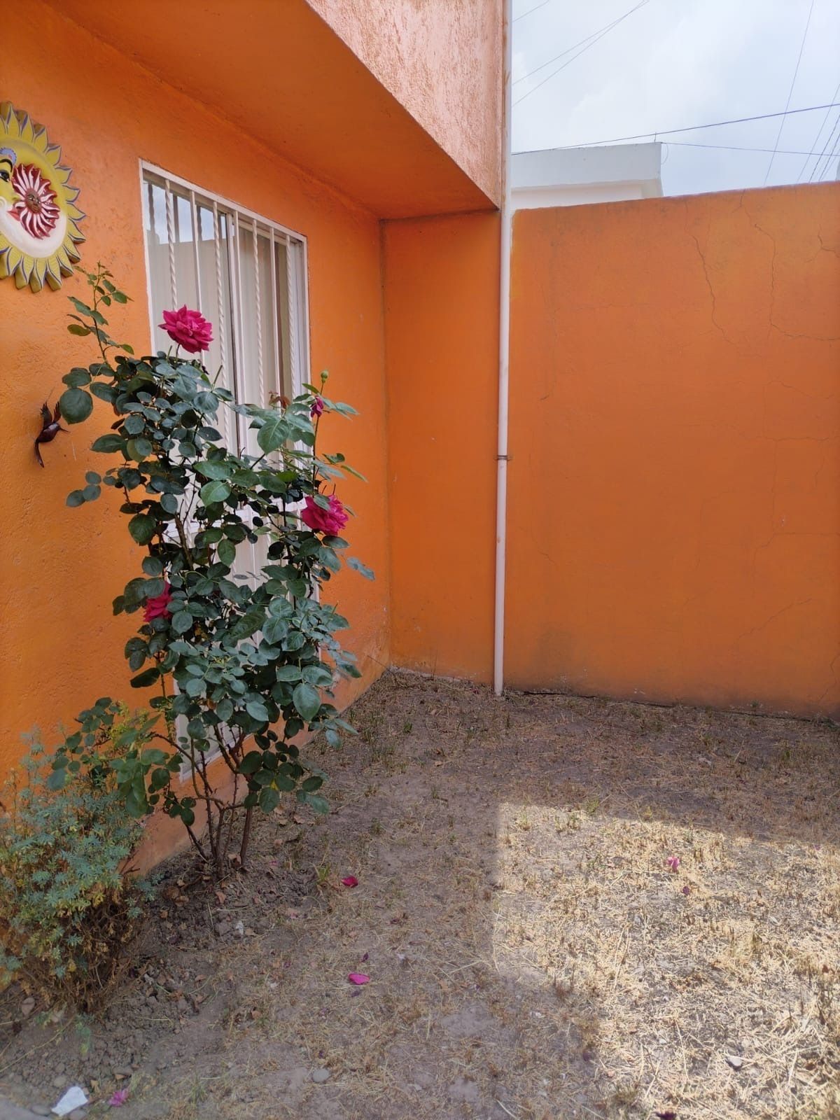 5 de 27