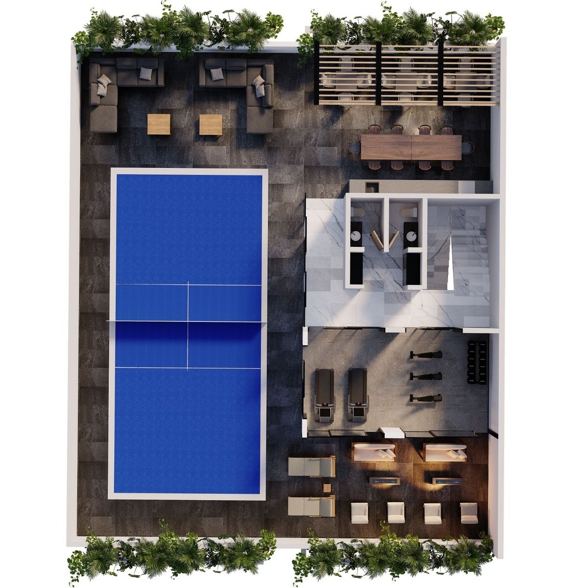4 de 7: Roof top
