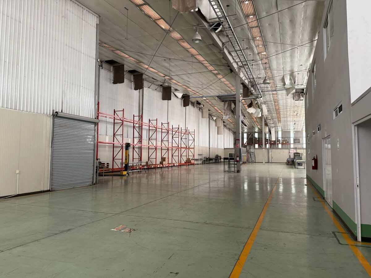 13 de 20: BODEGA PROCESADORA DE ALIMENTOS