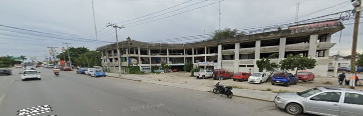 Imagen 3 de 4