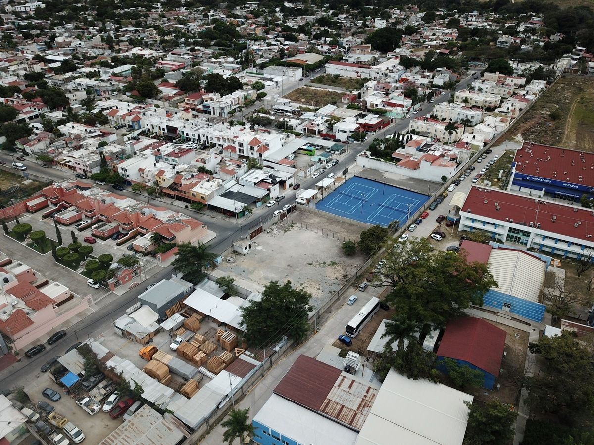 Imagen 6 de 8