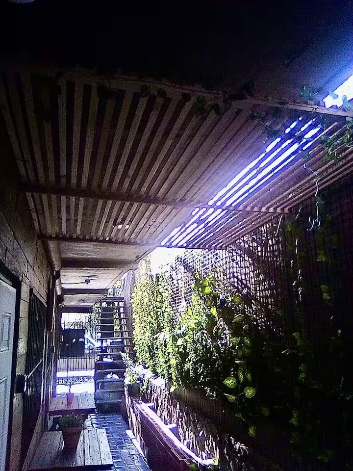 4 de 16