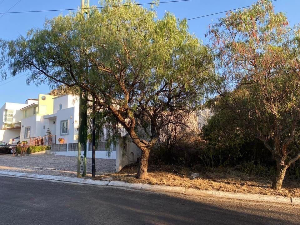 3 de 6