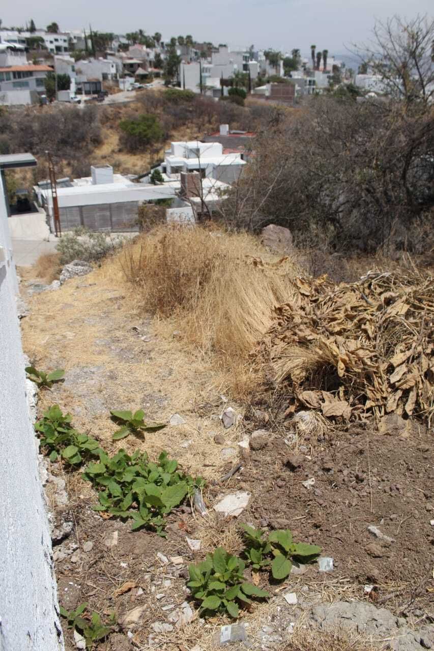 2 de 6