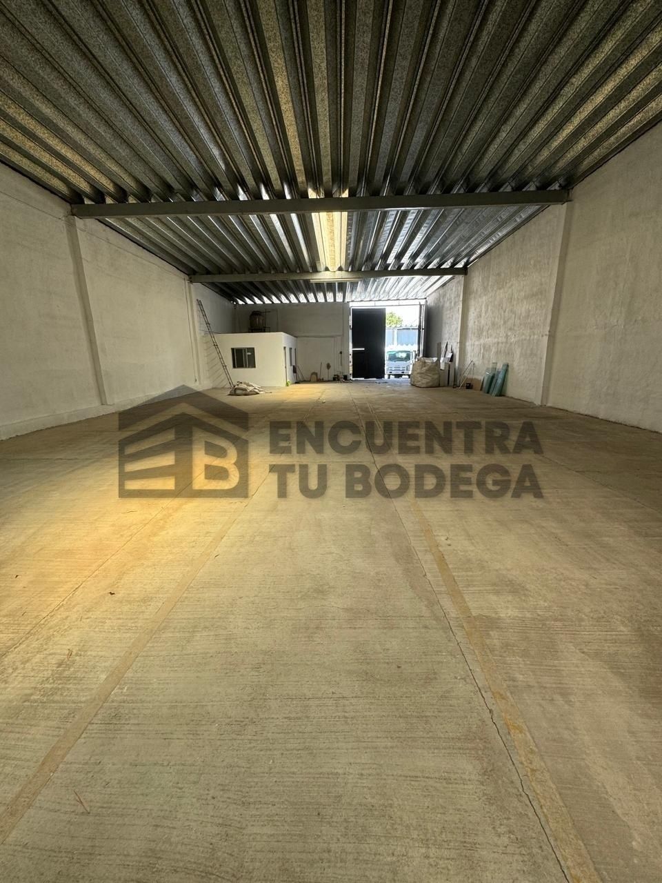 4 de 8