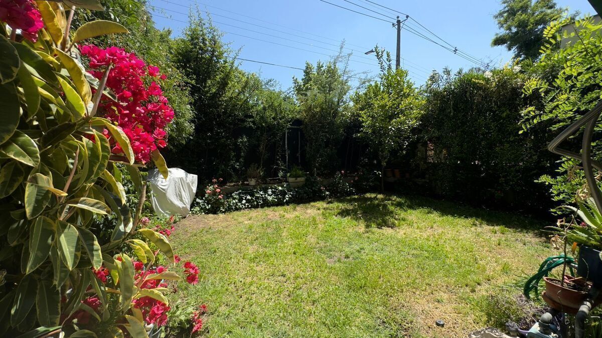 5 de 14: Jardin