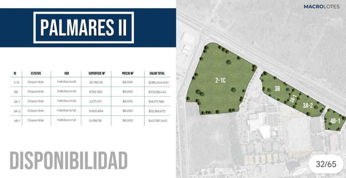Macrolote en Palmares II, El Salitre