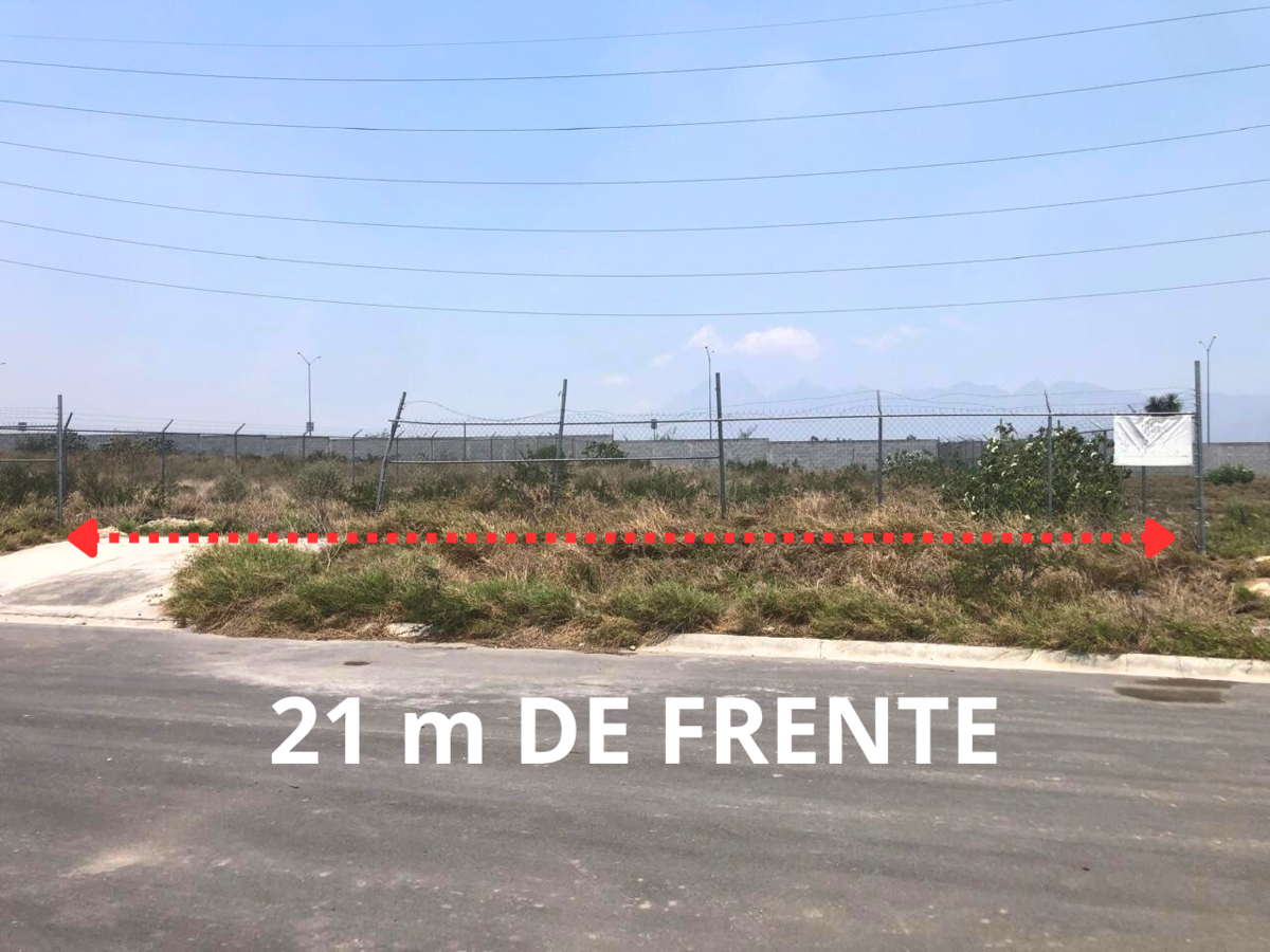 3 de 6