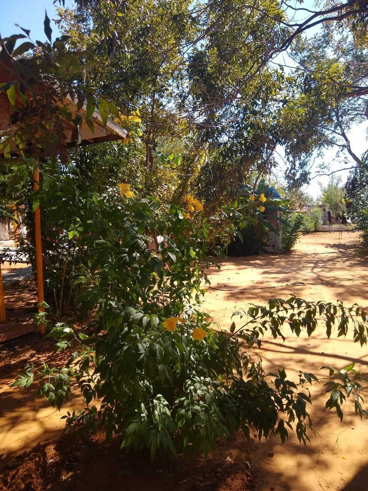 4 de 17
