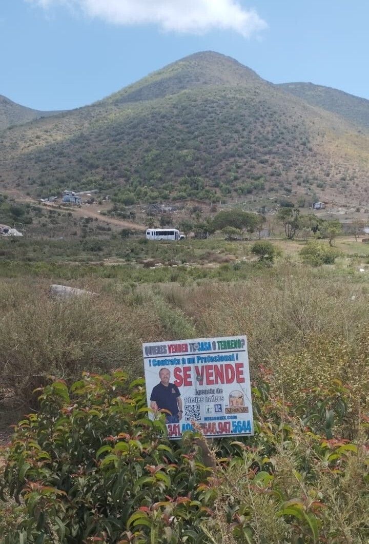 4 de 7