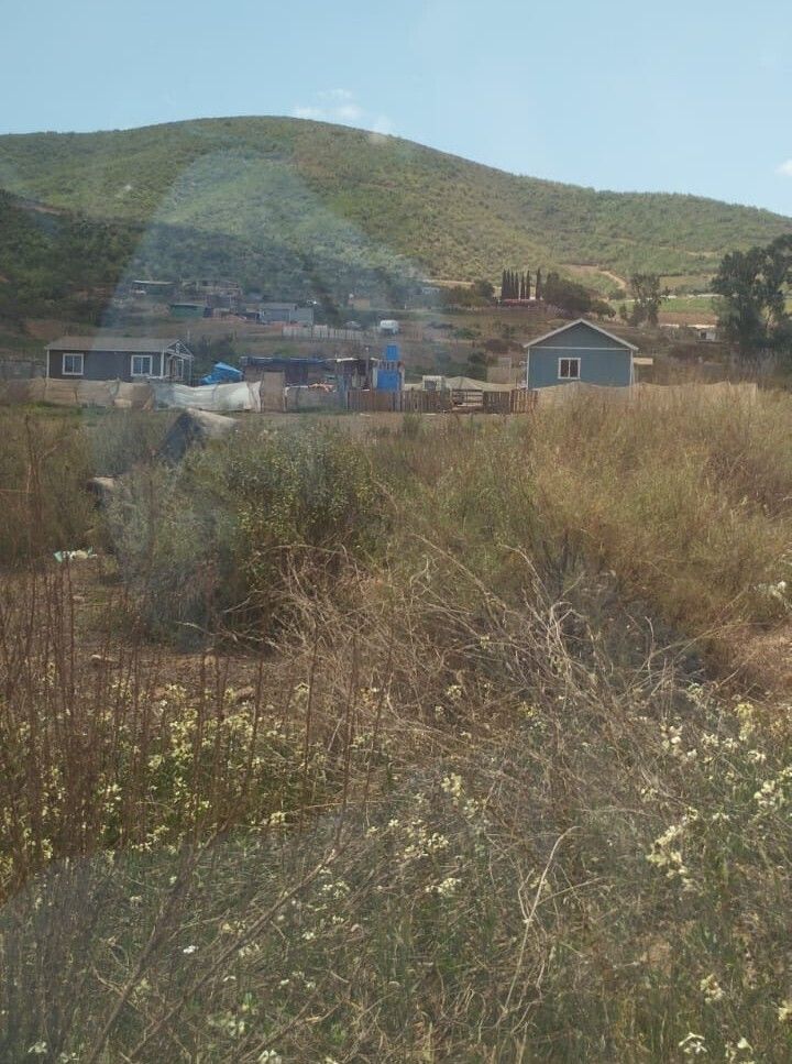 3 de 7