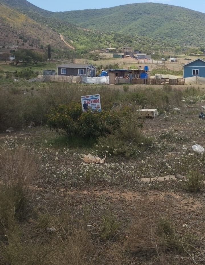 5 de 7