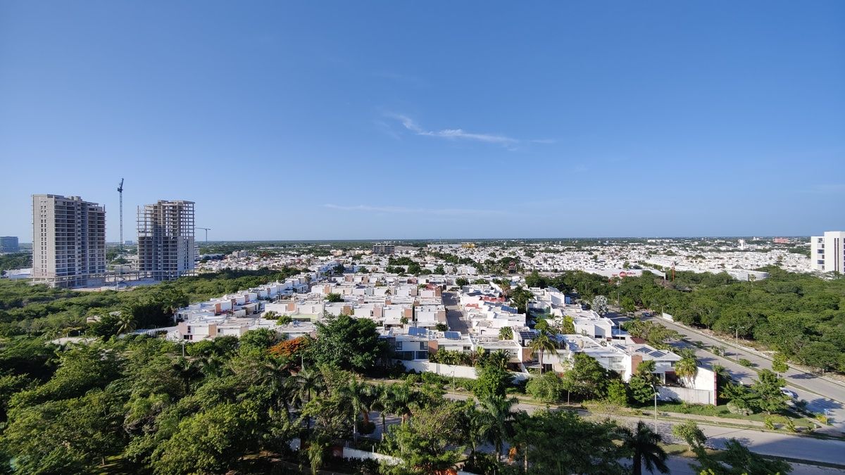 7 de 31