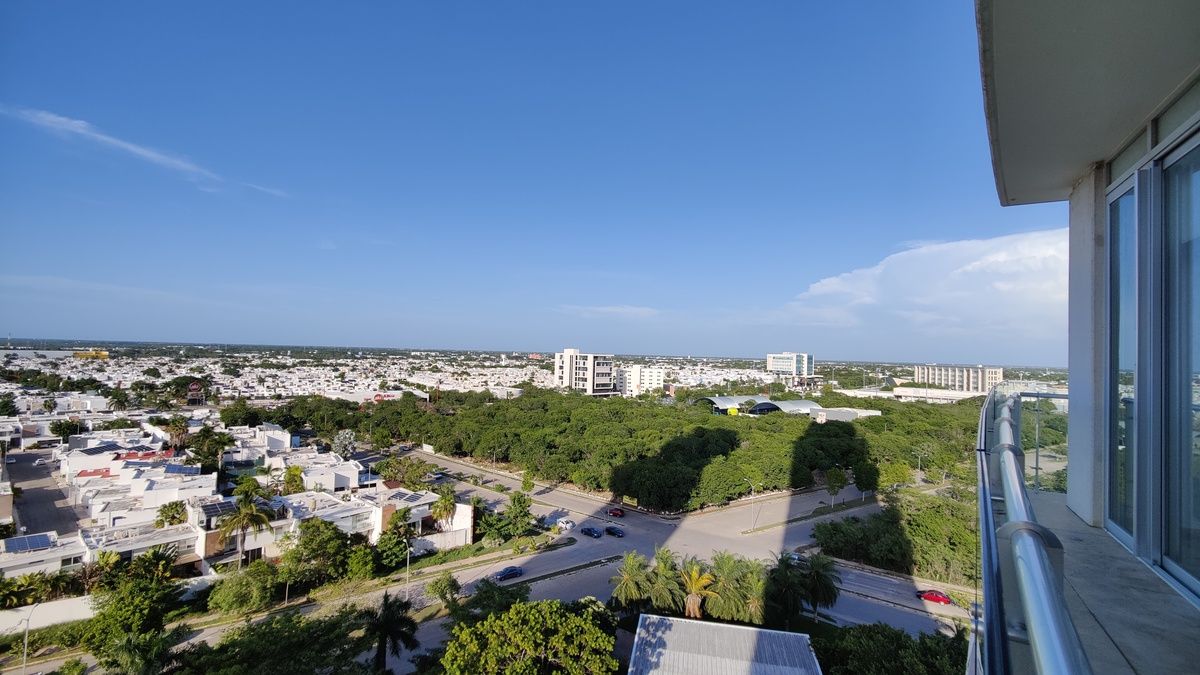 8 de 31