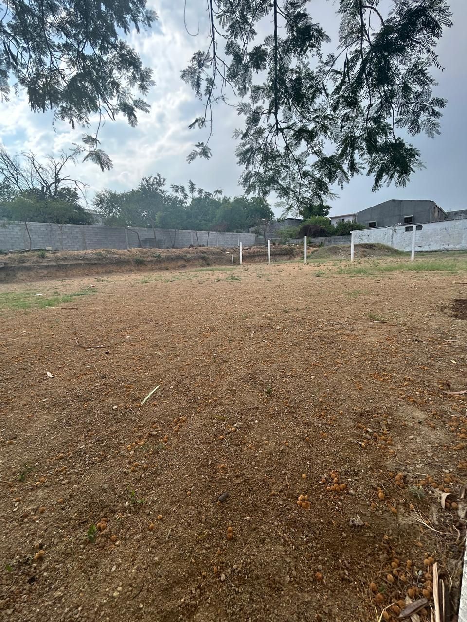 4 de 8