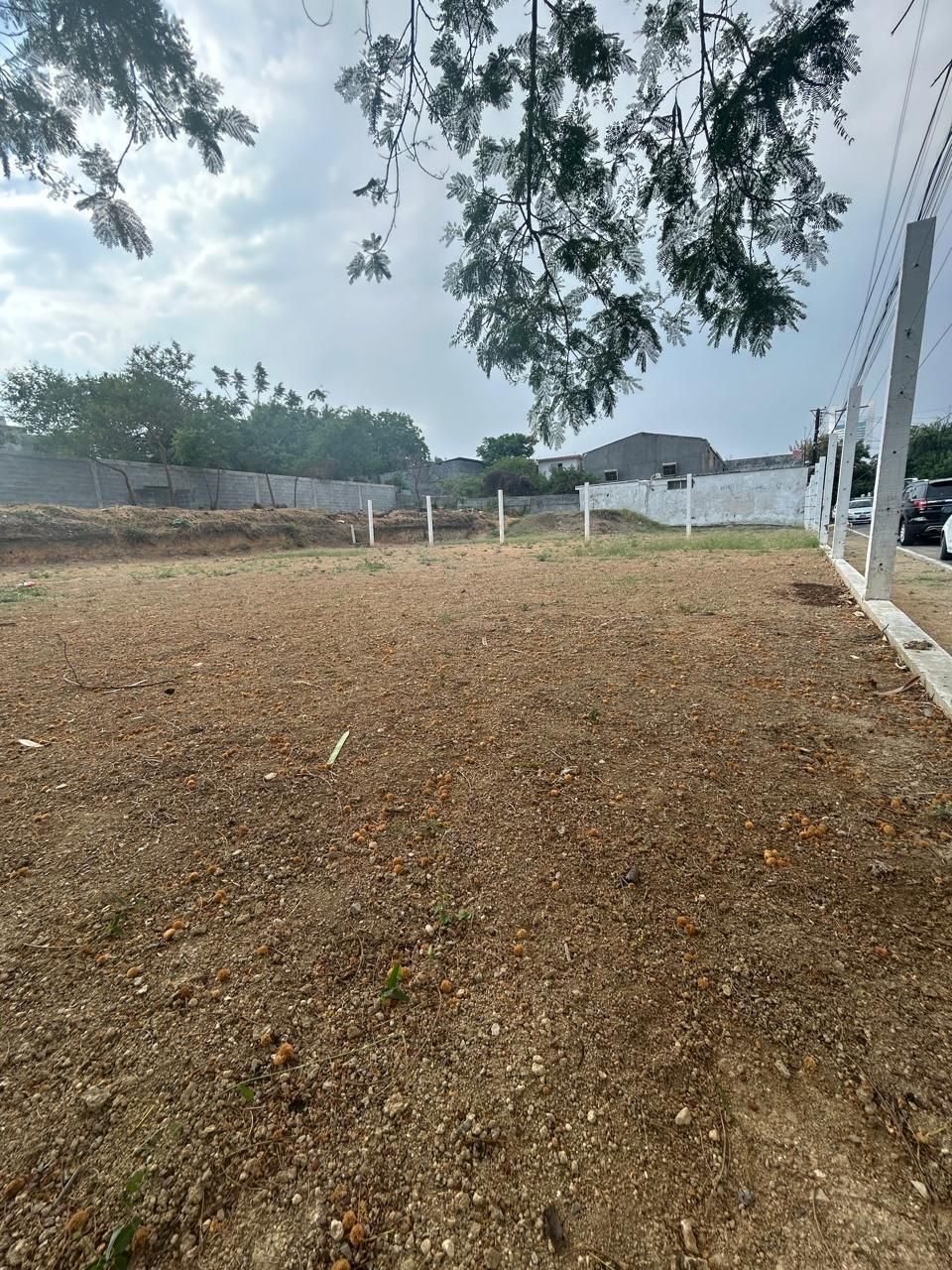 5 de 8