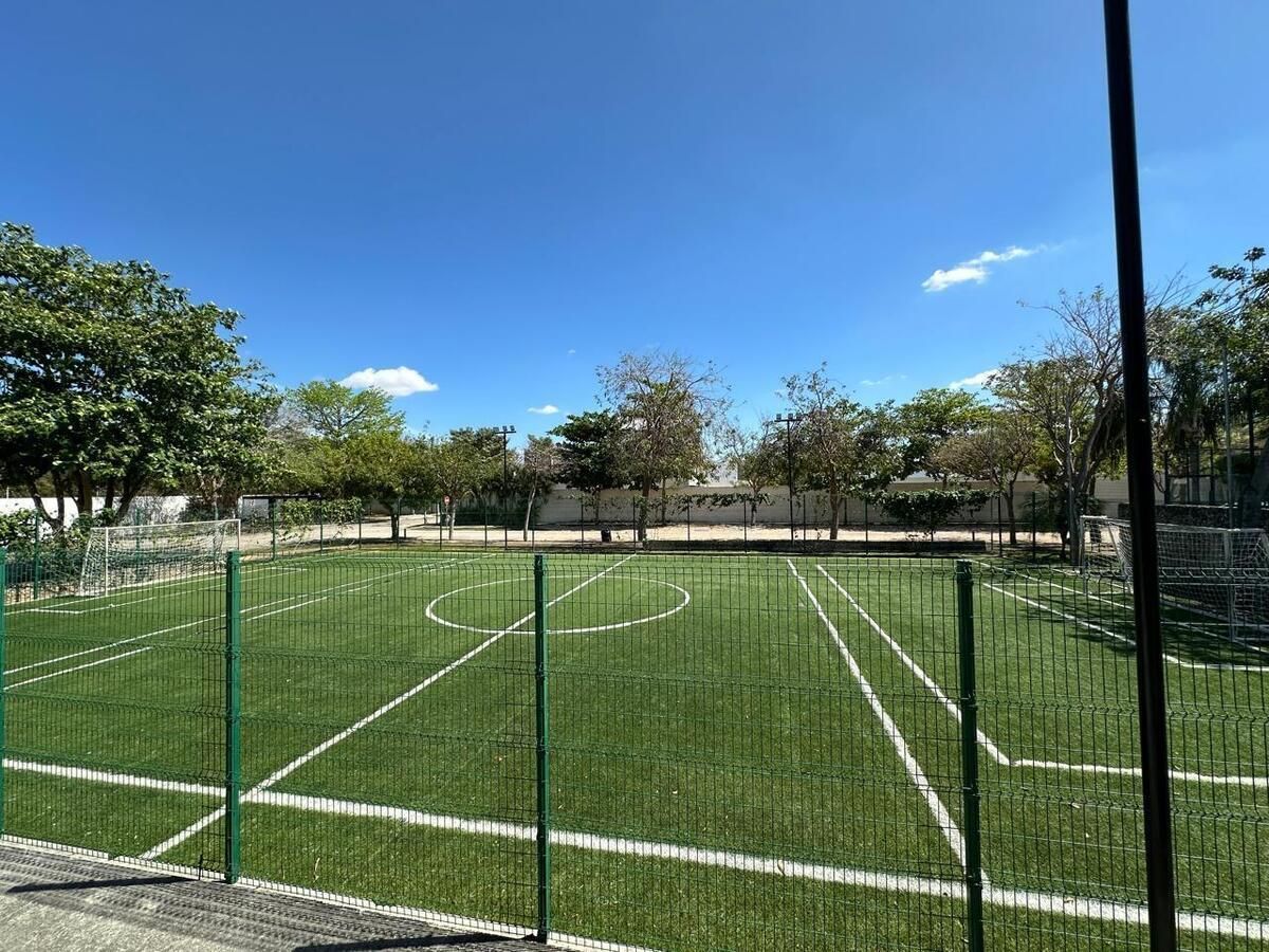 10 de 15