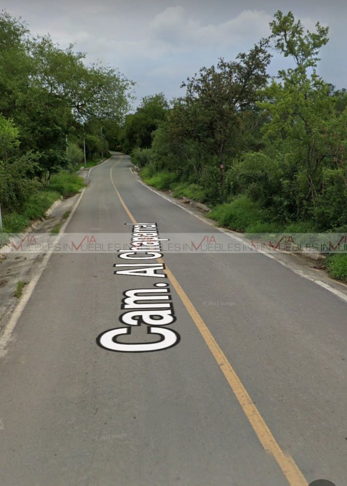 Imagen 5 de 8