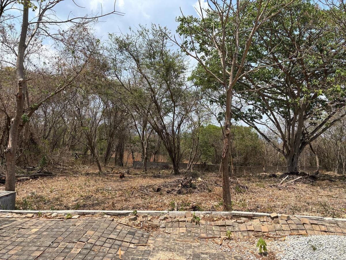 OPORTUNIDAD DE INVERSIÓN ÚNICA EN EXCLUSIVA ZONA RESIDENCIAL DE LA CD. - foto 3