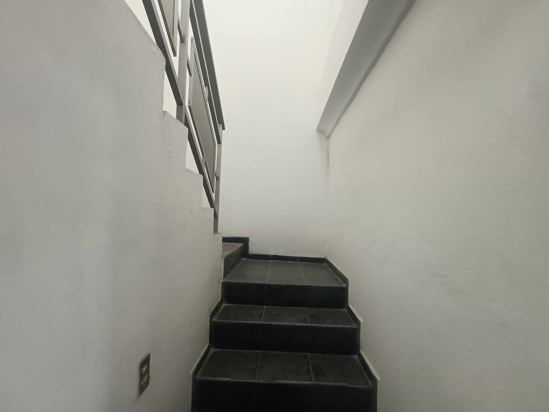 3 de 8