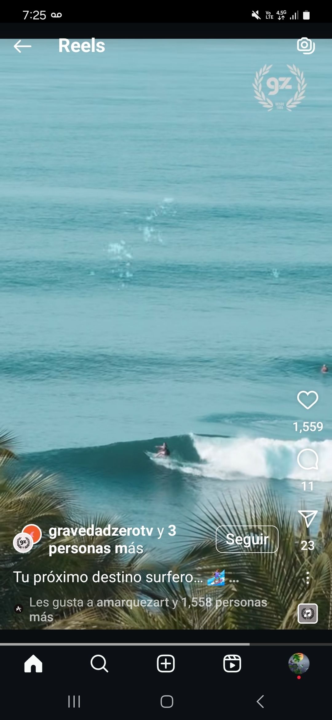 4 de 6