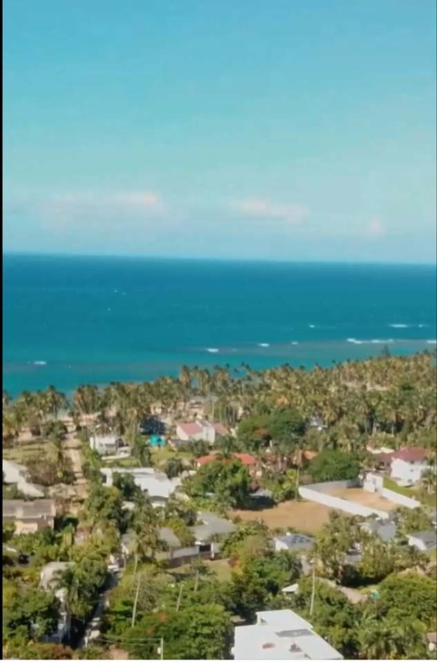 3 de 3