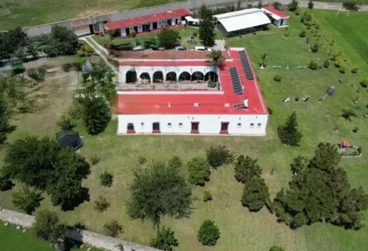 2 de 4