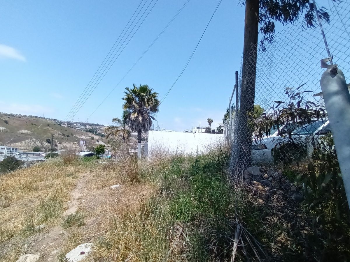 5 de 10