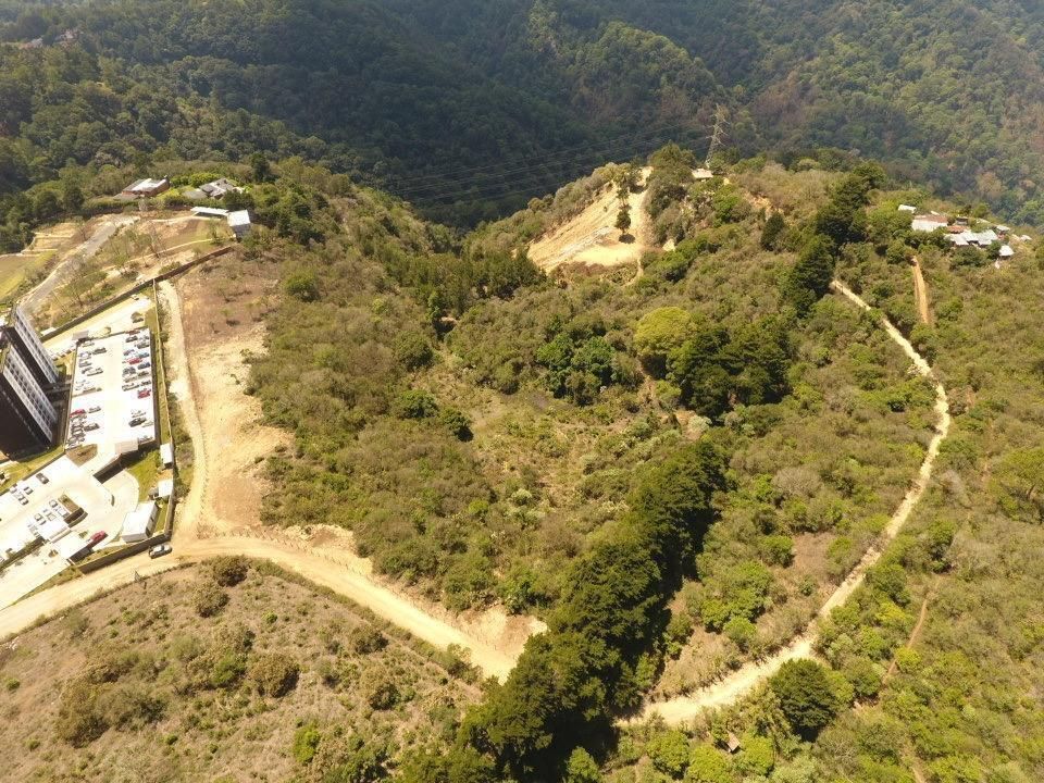 5 de 7