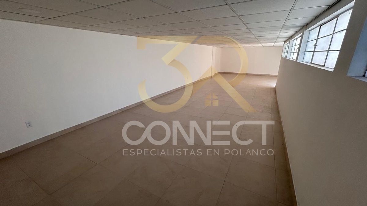 3 de 6
