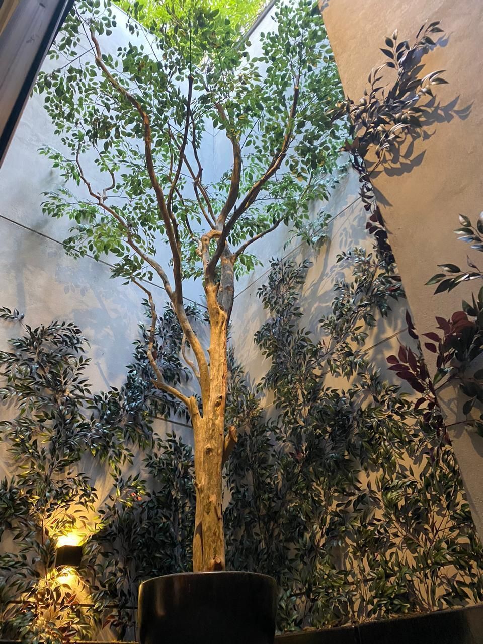 5 de 30