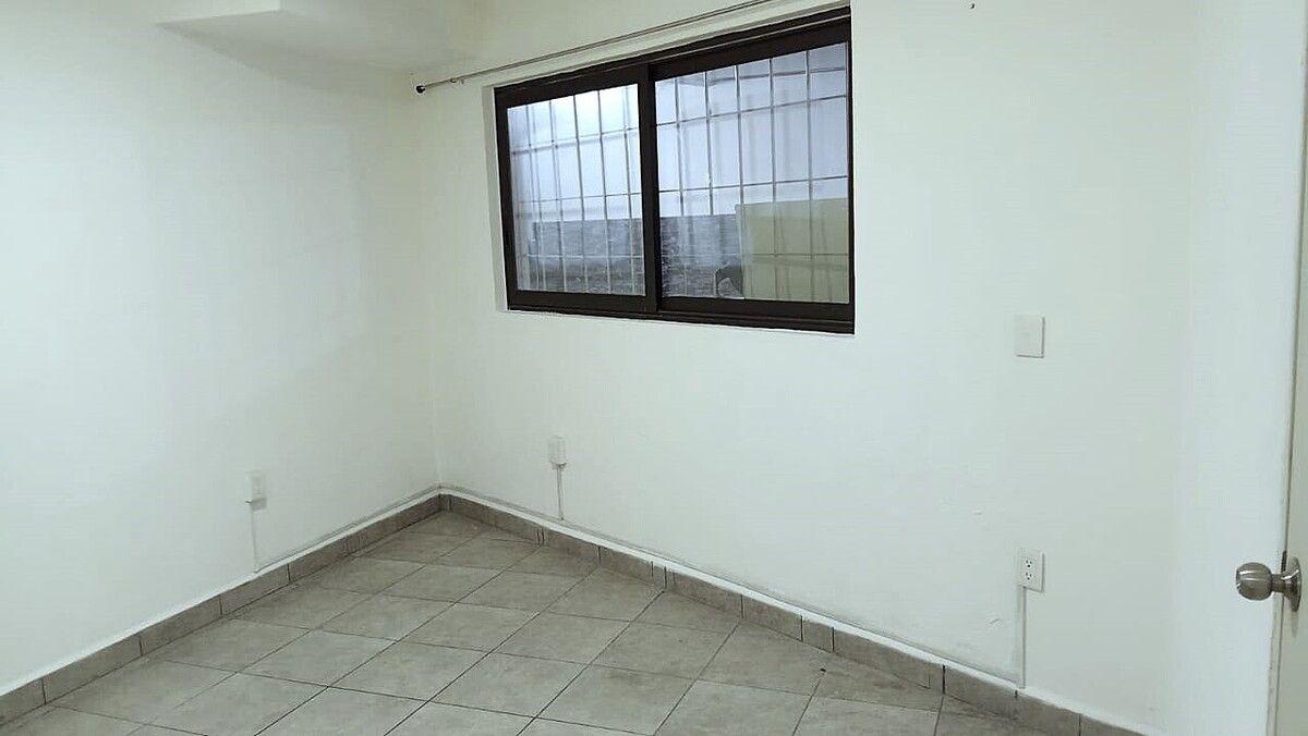 Imagen 3 de 8